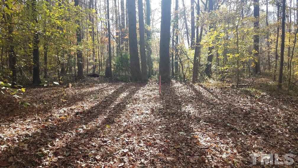 a view of forest