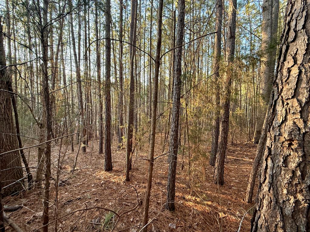 Scotts Bottom Road, Unit 17 Dillwyn, VA 23936 - Photo 30 of 31 Gallery Image 30