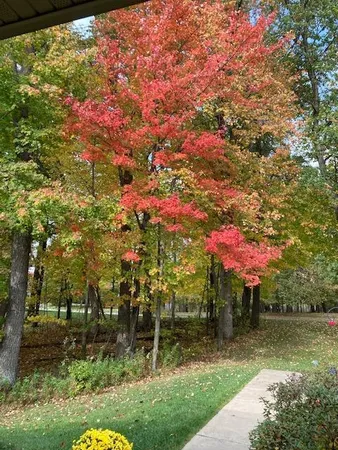 $649,000 | 12516 225th Court, Elk River, MN 55330