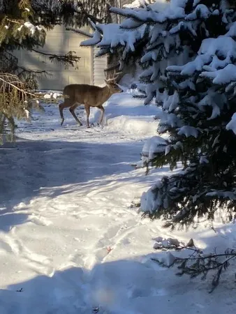 $649,000 | 12516 225th Court, Elk River, MN 55330