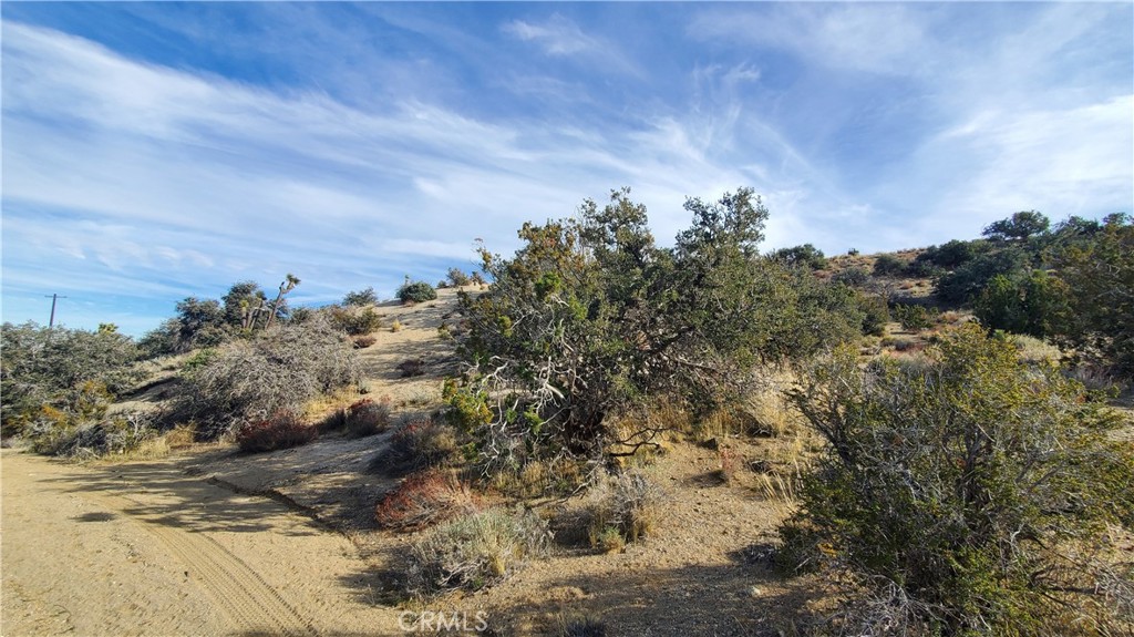 0 Vicinity Ross Road Juniper Hills, CA 93543 - Photo 12 of 50 Gallery Image 12