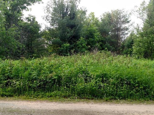 On Sugar Maple Village Road, Unit LOT 8 Phelps, WI 54554 - Photo 2 of 5 Gallery Image 2