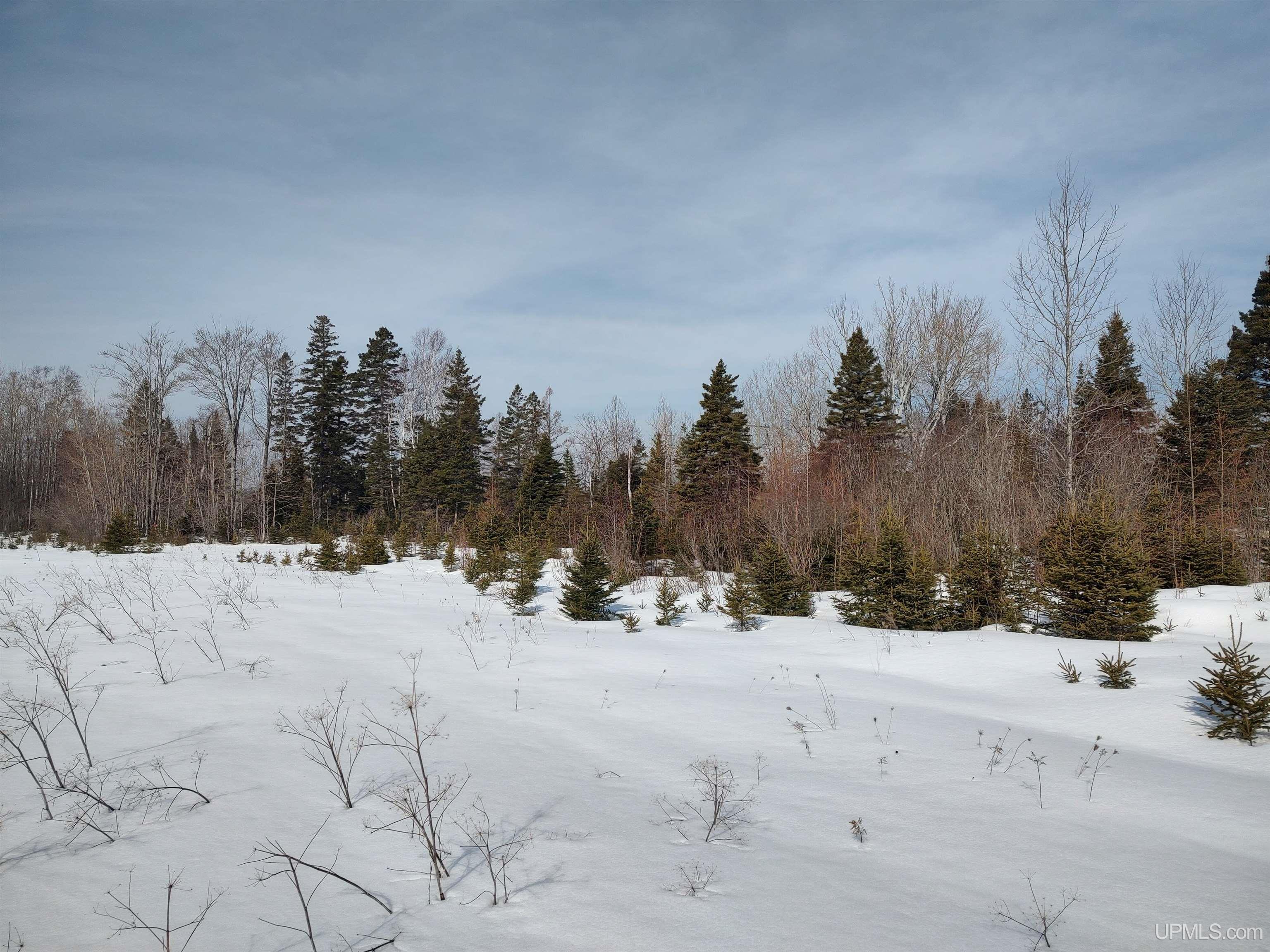 30-acres Parkington Road Gulliver, MI 49840 - Photo 21 of 31
