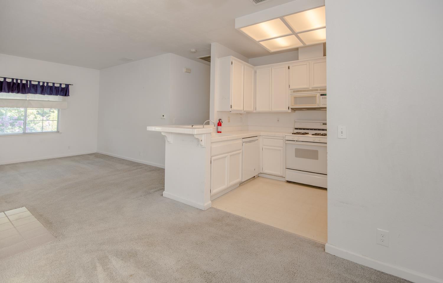 1045 Greene Terrace Davis, CA 95618 - Photo 10 of 45 Gallery Image 10