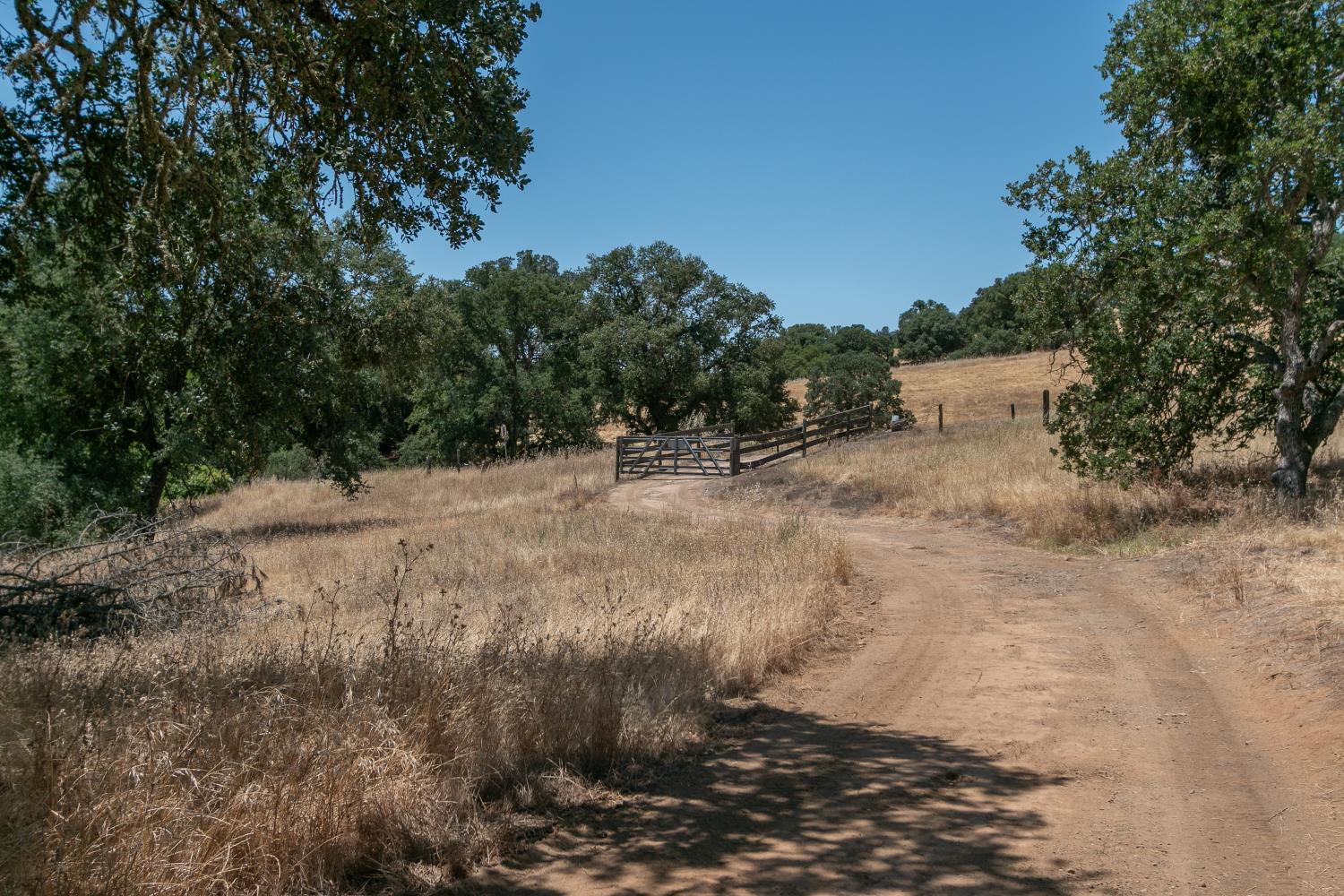 0 Stony Creek Road Ione, CA 95640 - Photo 5 of 70