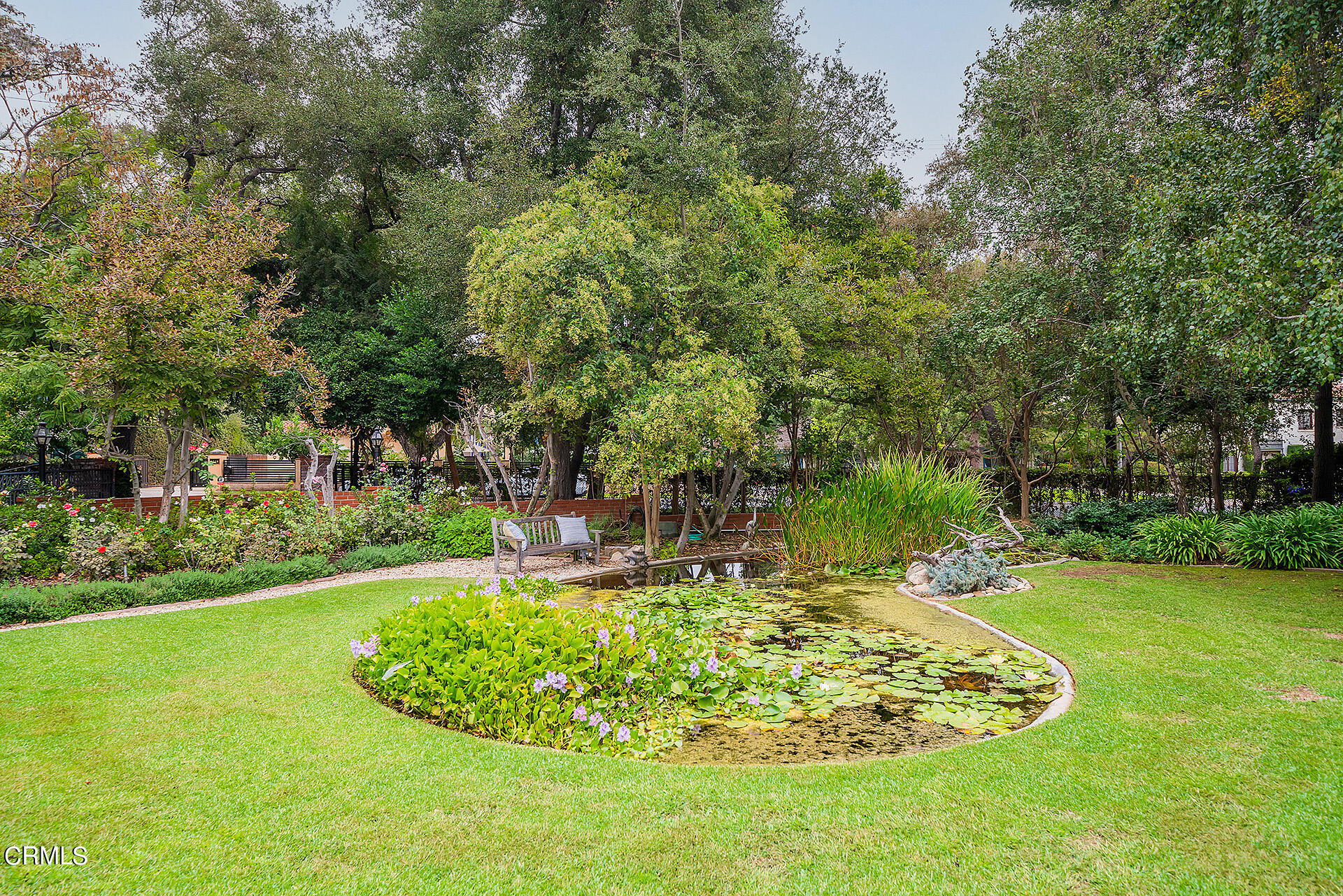 2035 South Oak Knoll Avenue San Marino, CA 91108 - Photo 4 of 29 a swimming pool with trees in the background
