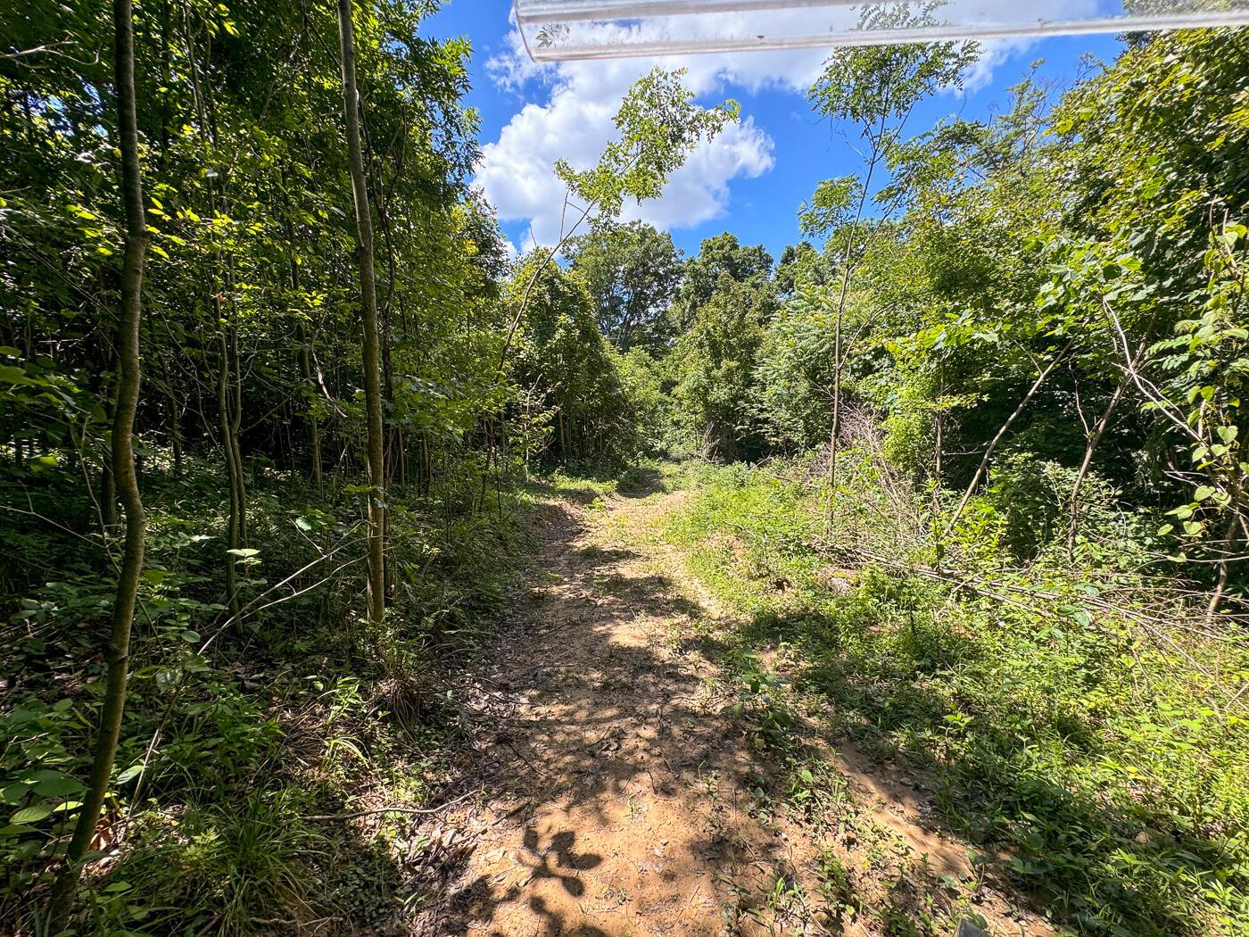 4313 Flint Ridge Road Northeast, Unit INT RIDGE TRACT 18 ACRE) Crooksville, OH 43731 - Photo 21 of 53 CT-21