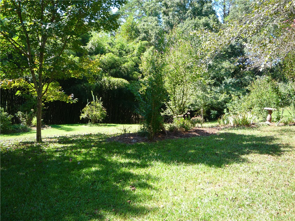 109 Lake Ridge Circle Walhalla, SC 29691 - Photo 24 of 27 Mature trees frame a grassy lawn offering natural privacy and tranquil outdoor space.