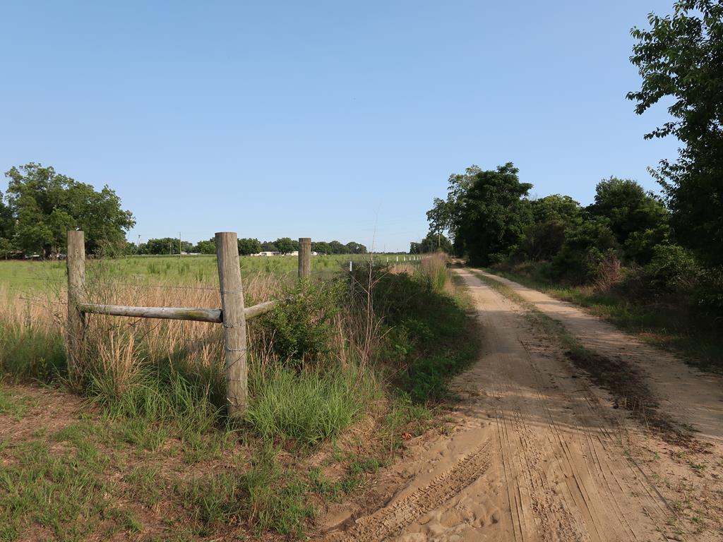 0 East Columbia Road Newville, AL 36353 - Photo 11 of 15