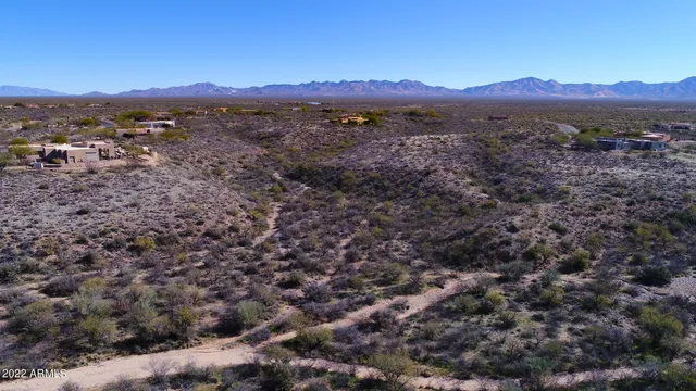 a view of a forest with mountains in the background