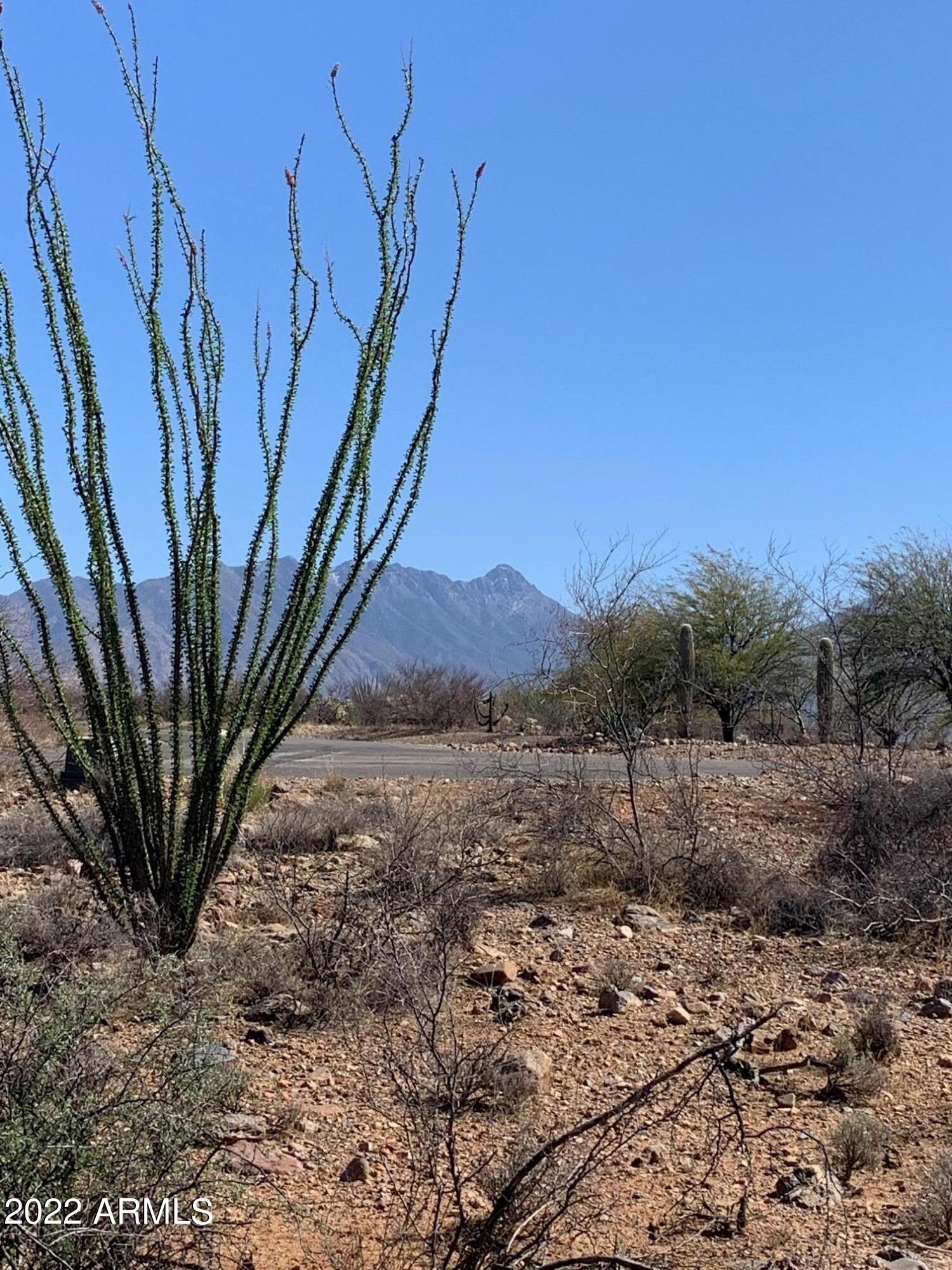 640 East Canyon Rock Road, Unit 49 Green Valley, AZ 85614 - Photo 24 of 34 a view of a backyard with wooden fence