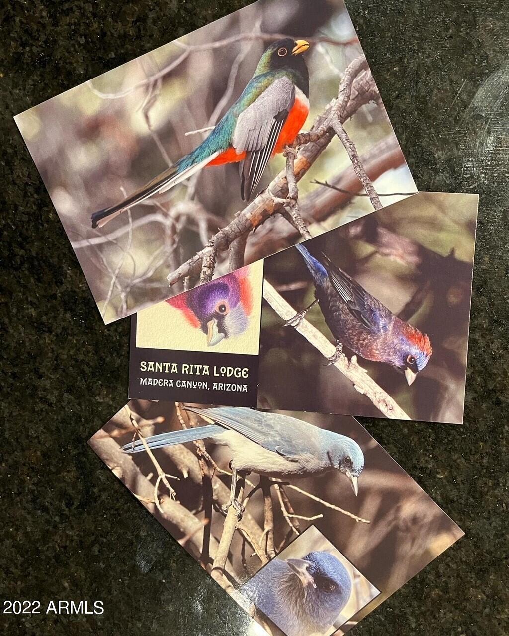 640 East Canyon Rock Road, Unit 49 Green Valley, AZ 85614 - Photo 33 of 34 a view of an outdoor space