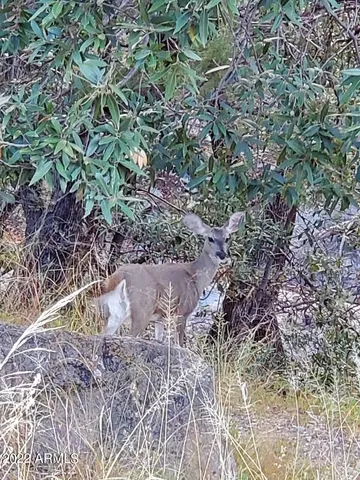 $185,000 | 640 East Canyon Rock Road, Unit 49, Green Valley, AZ 85614