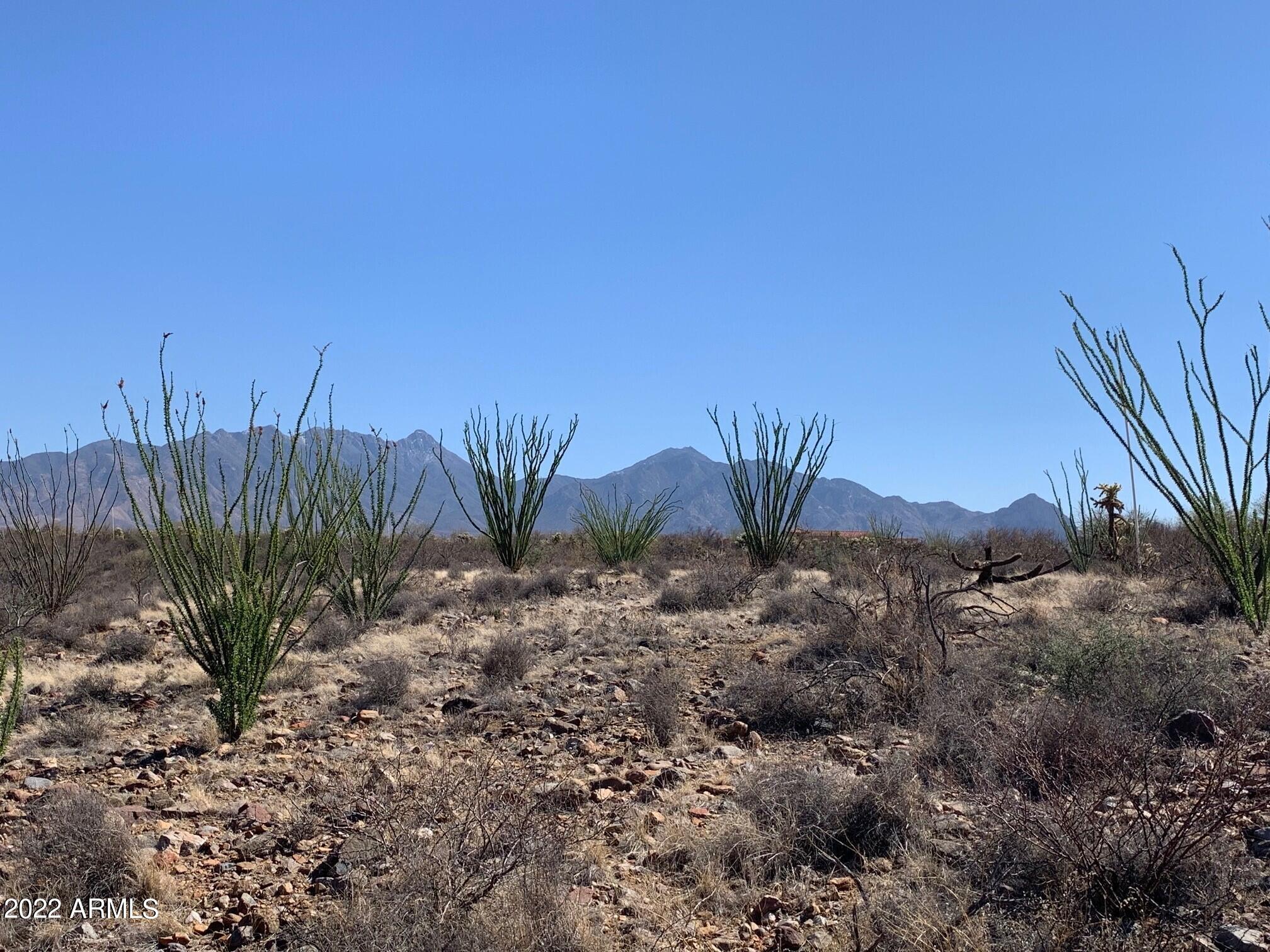 640 East Canyon Rock Road, Unit 49 Green Valley, AZ 85614 - Photo 7 of 34 a view of a backyard