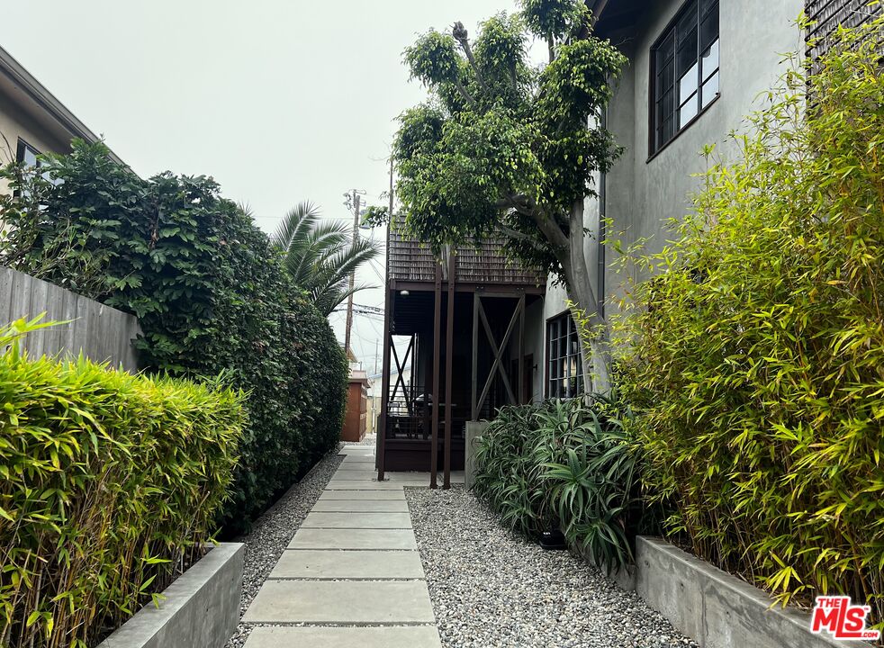 325 Indiana Avenue, Unit 2 Venice, CA 90291 - Photo 6 of 7 a view of a pathway that has potted plants and a large tree