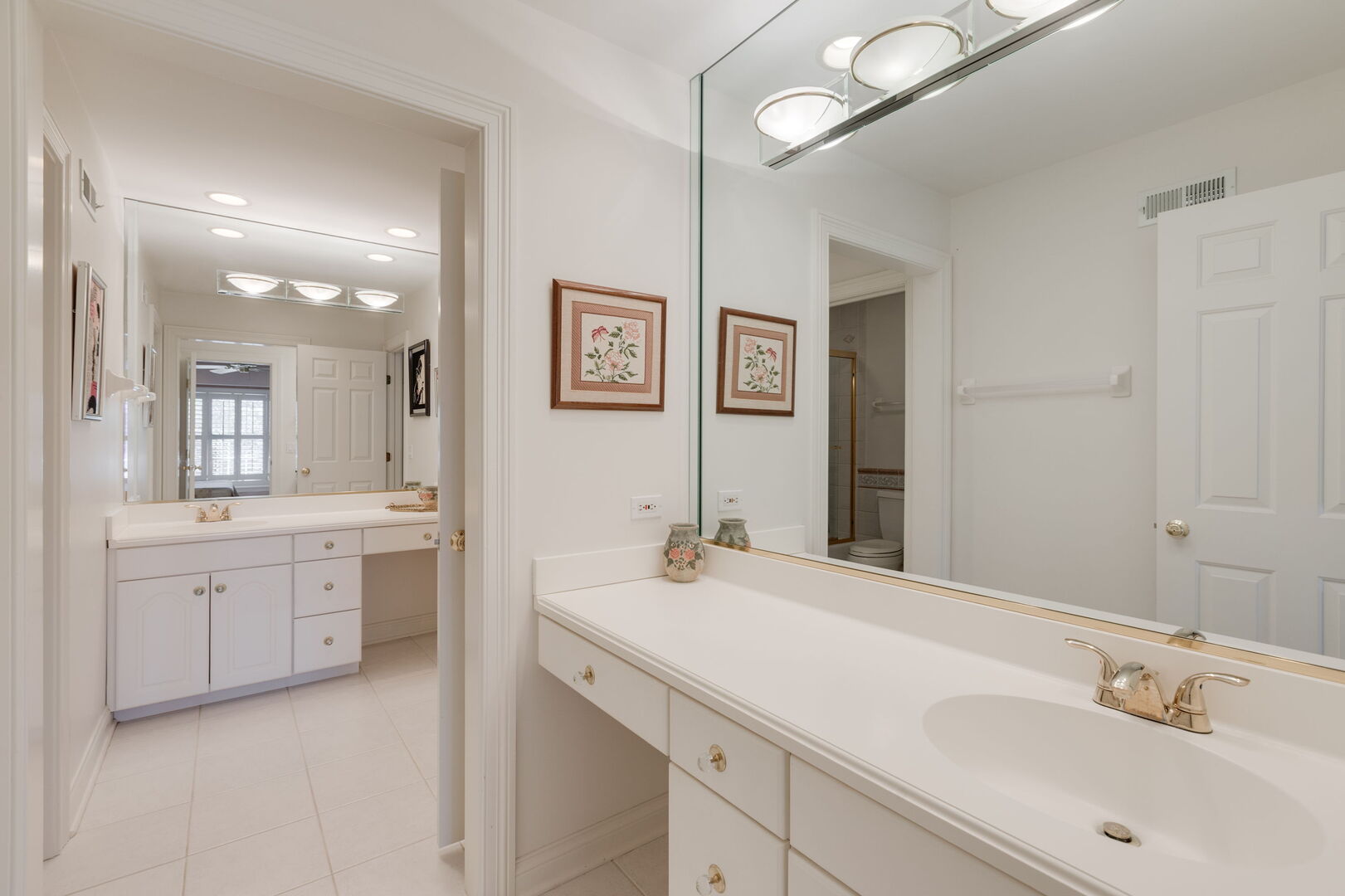 209 Carriage Trail Barrington, IL 60010 - Photo 23 of 42 a bathroom with a sink vanity and a mirror