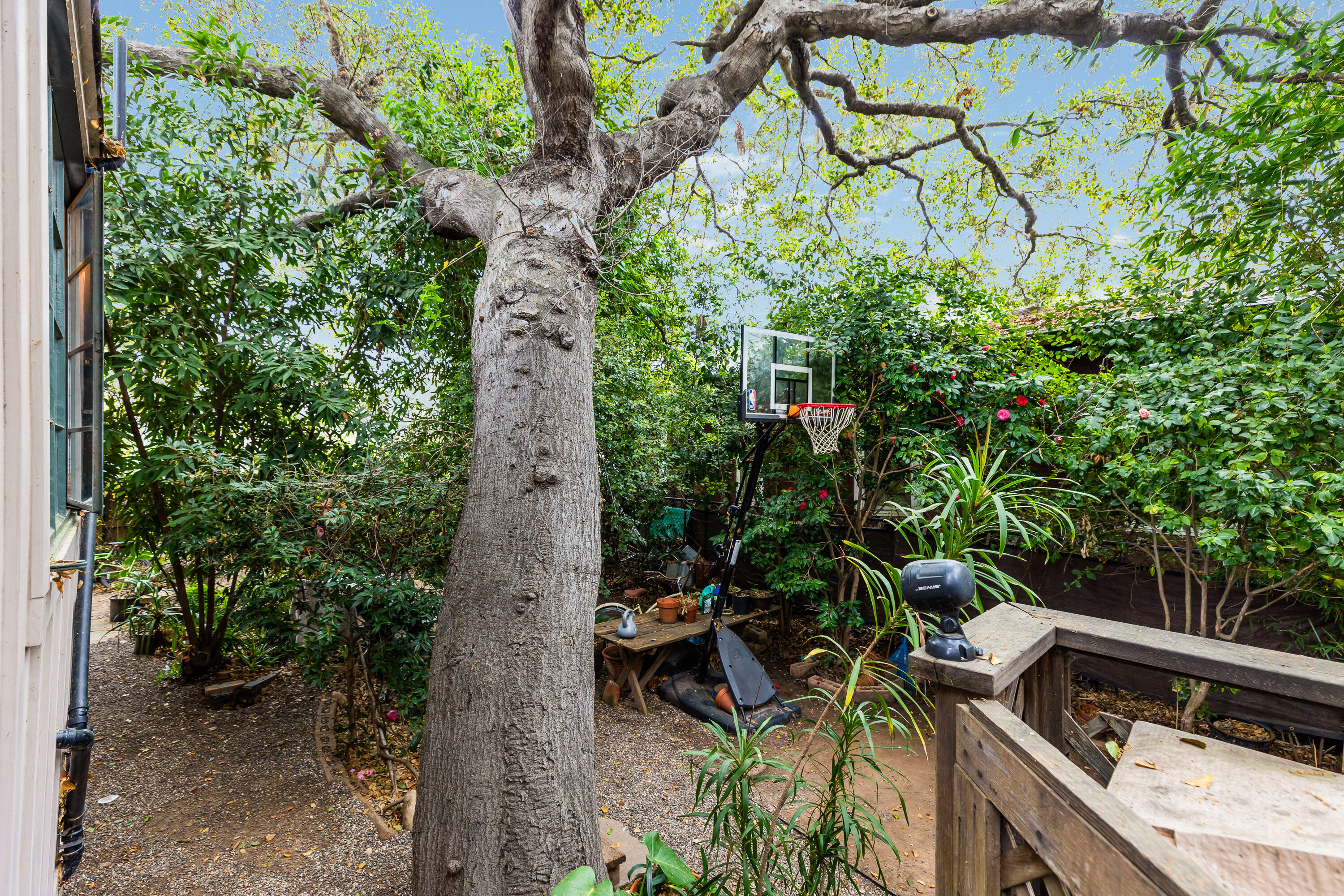 533 Brinkerhoff Avenue Santa Barbara, CA 93101 - Photo 10 of 27 a view of yard with outdoor seating