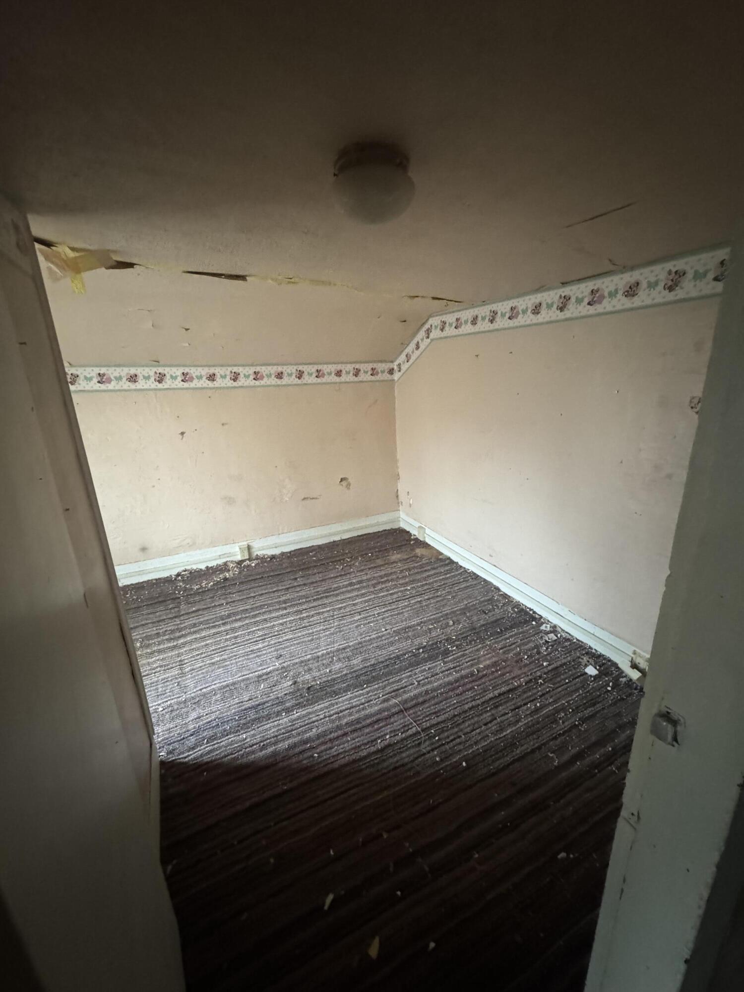 331 South Main Street Bellevue, MI 49021 - Photo 14 of 15 IMG_3452