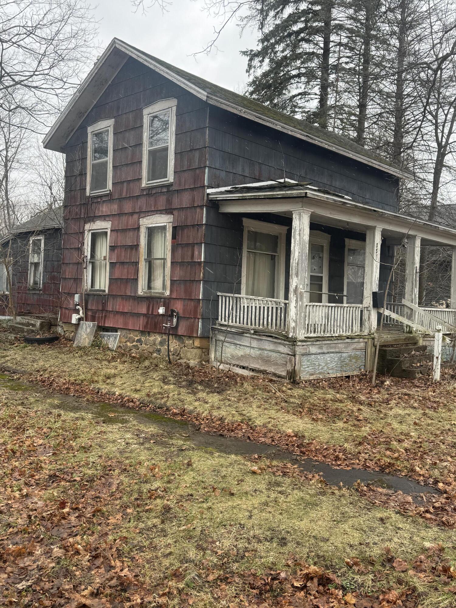 331 South Main Street Bellevue, MI 49021 - Photo 3 of 15 IMG_3441