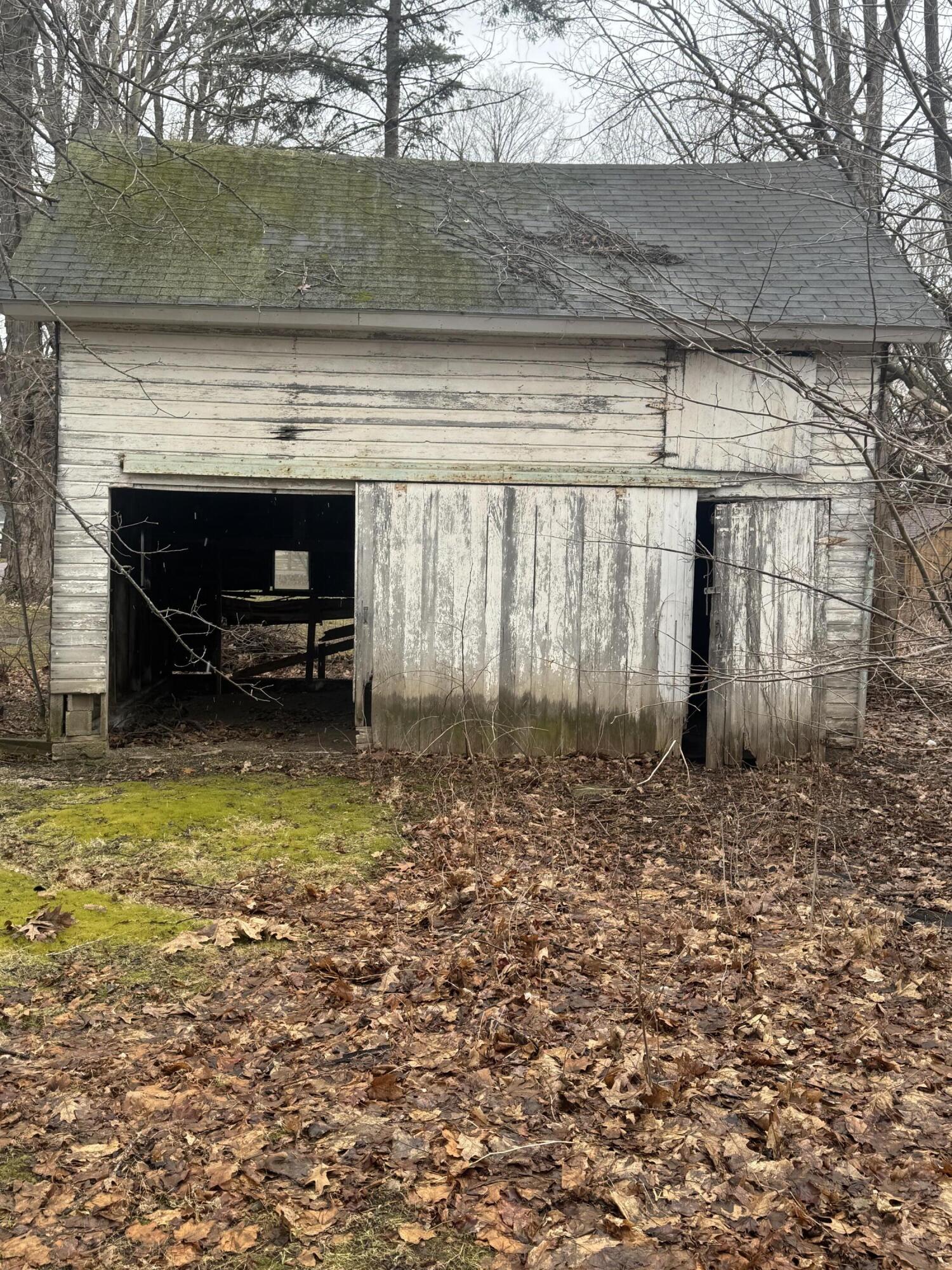 331 South Main Street Bellevue, MI 49021 - Photo 5 of 15 IMG_3444 (1)