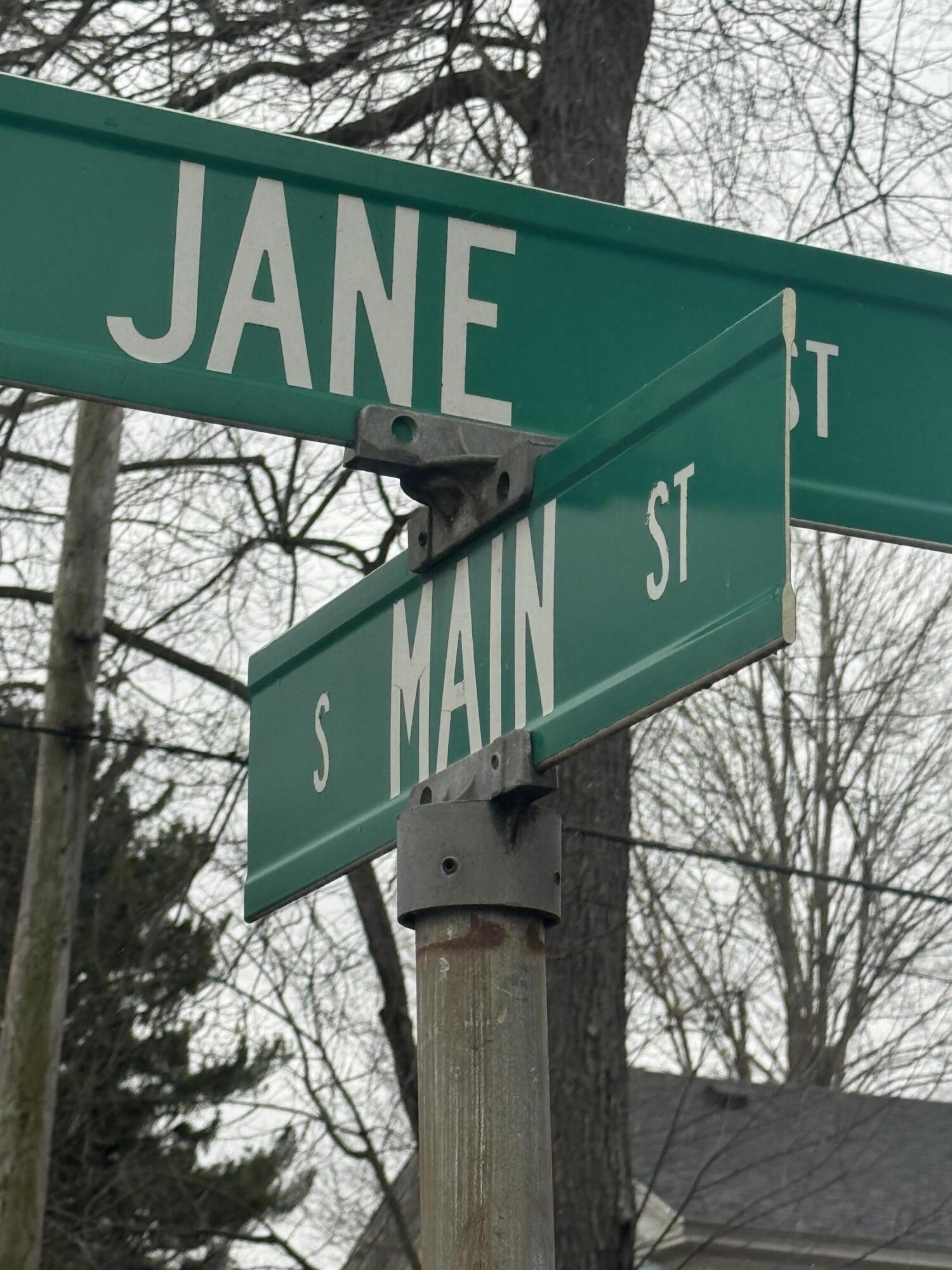 331 South Main Street Bellevue, MI 49021 - Photo 6 of 15 IMG_3440