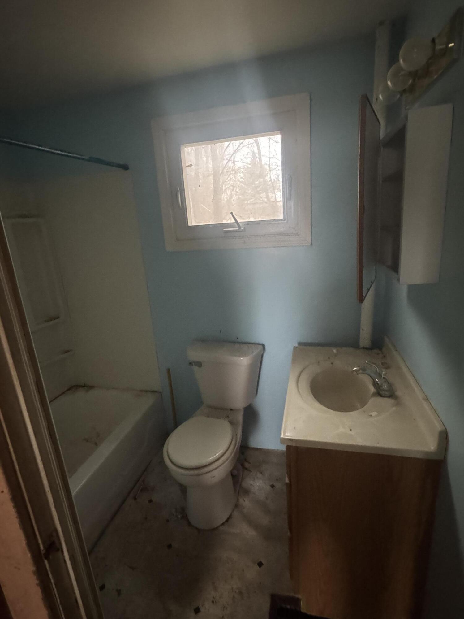 331 South Main Street Bellevue, MI 49021 - Photo 10 of 15 IMG_3454