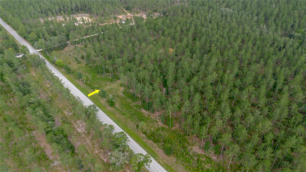 Northeast 90th Street Road Fort McCoy, FL 32134 - Photo 10 of 25