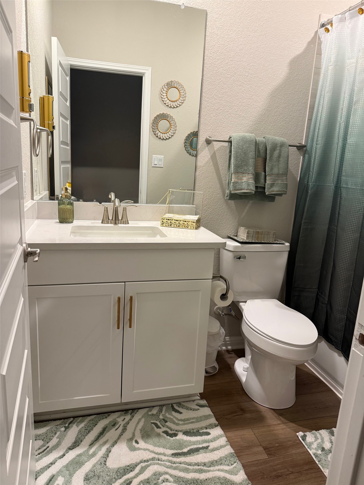 602 Sue Peaks Loop Dripping Springs, TX 78620 - Photo 29 of 39 a bathroom with a sink toilet and mirror