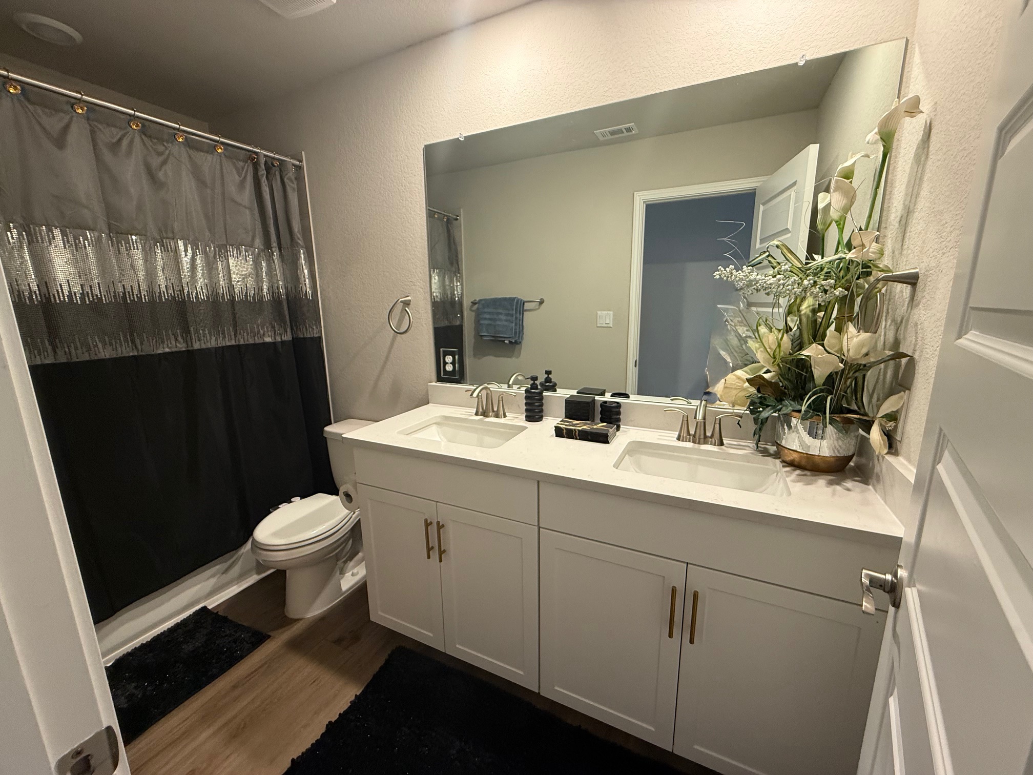 602 Sue Peaks Loop Dripping Springs, TX 78620 - Photo 31 of 39 a bathroom with a sink a toilet a shower and a mirror