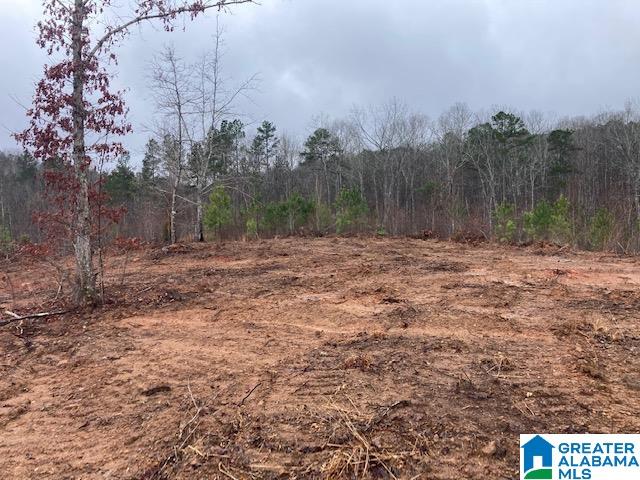 6001 Bluff Valley Road, Unit 30 AC Ashland, AL 36251 - Photo 1 of 8