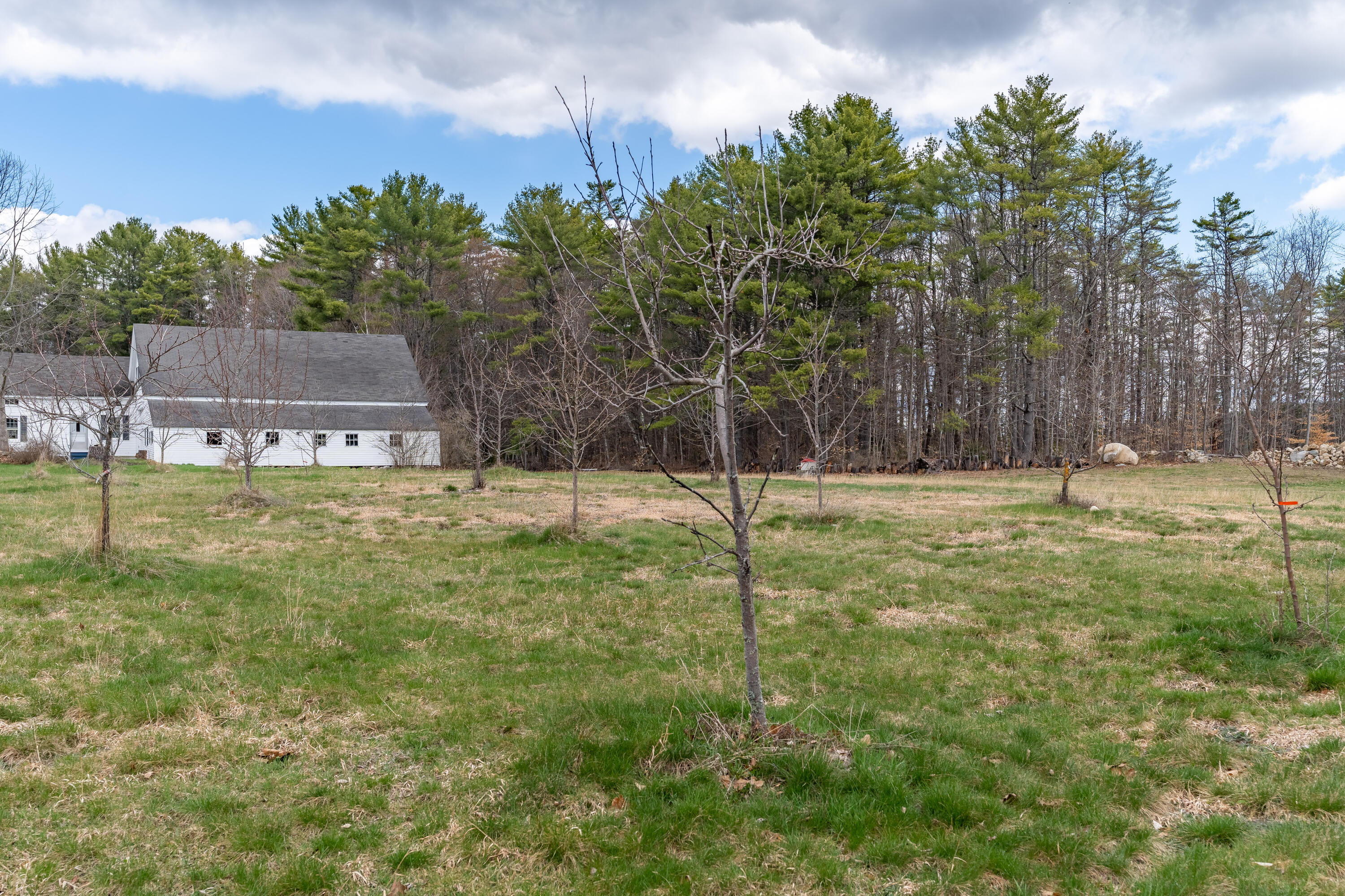 255 Raymond Hill Road Raymond, ME 04071 - Photo 76 of 91 Side Yard
