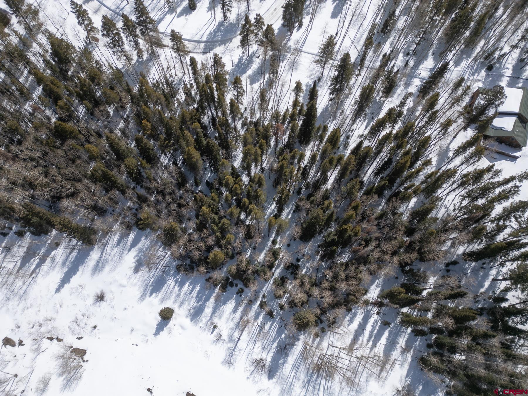 617 Sioux Road Gunnison, CO 81230 - Photo 9 of 10 a view of a forest with a tree