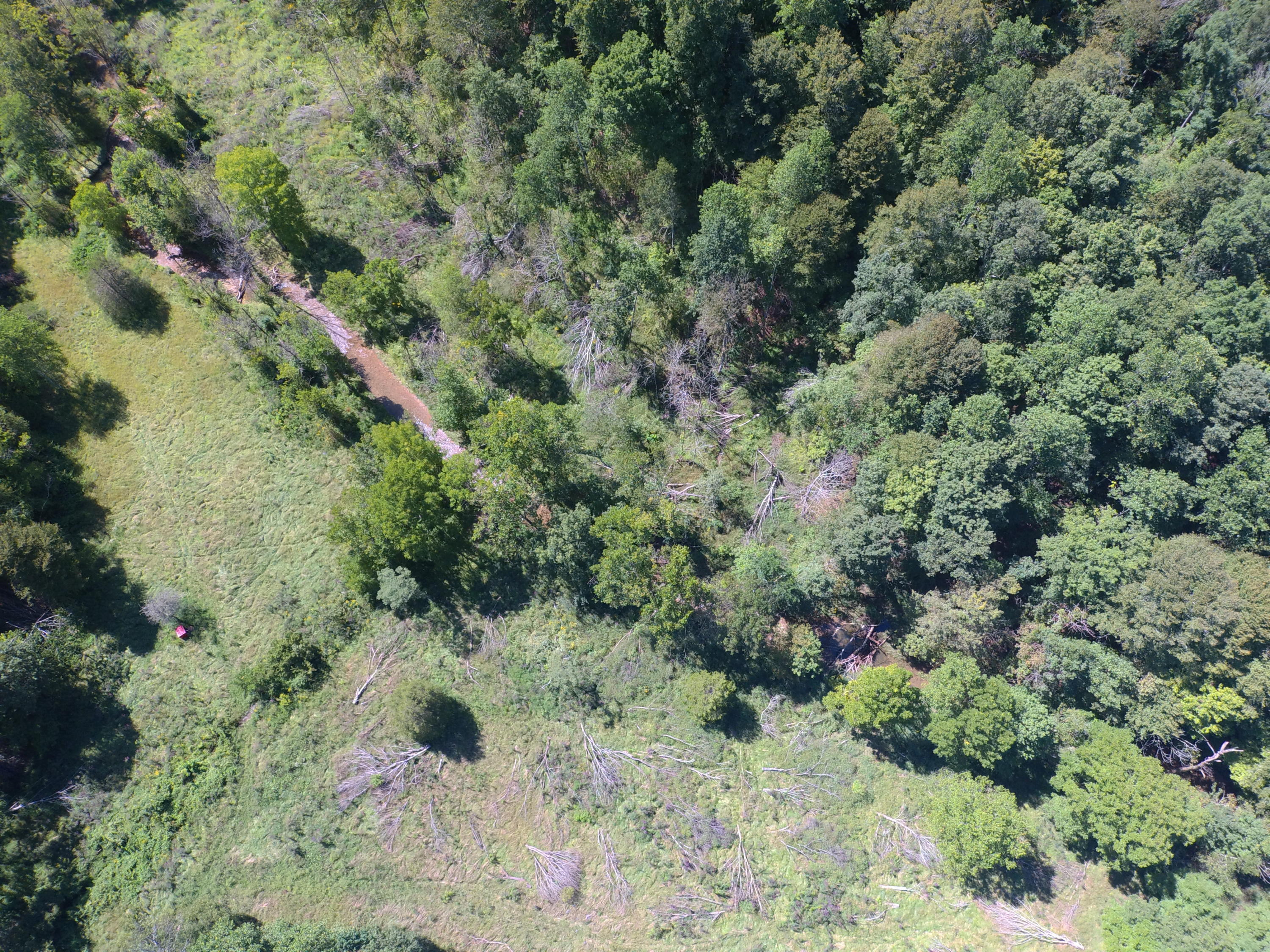 1555 Pleasant Point School Road Waynesburg, KY 40489 - Photo 52 of 58 Drone Overview