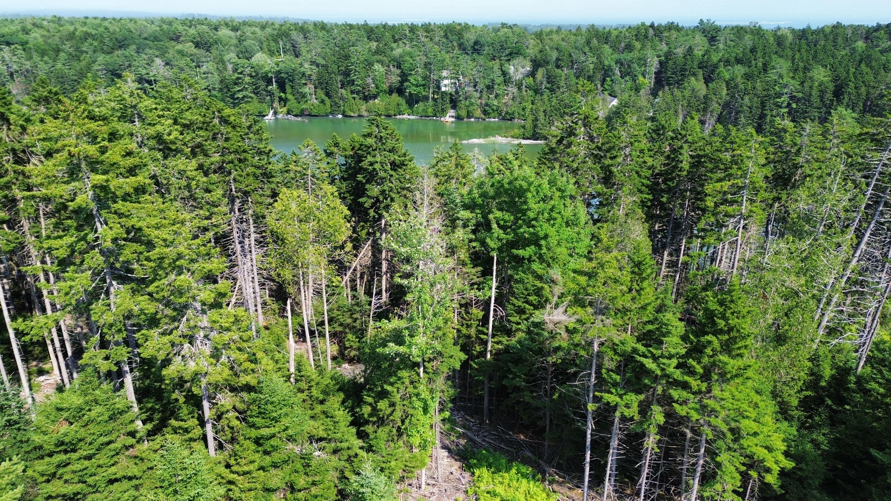 Lot #1 Bayview Road Orrs Island, ME 04066 - Photo 31 of 46 dji_fly_20240713_154730_912_172091591386