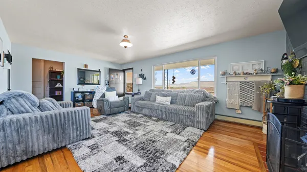 a living room with furniture and a couch