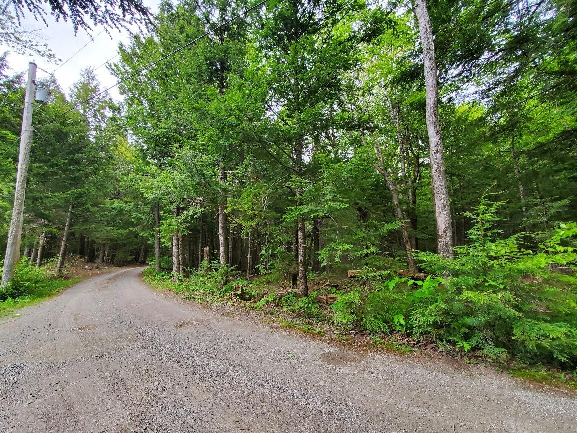 Lot 7 Heath Road Ellsworth, ME 04605 - Photo 5 of 37 power roadside