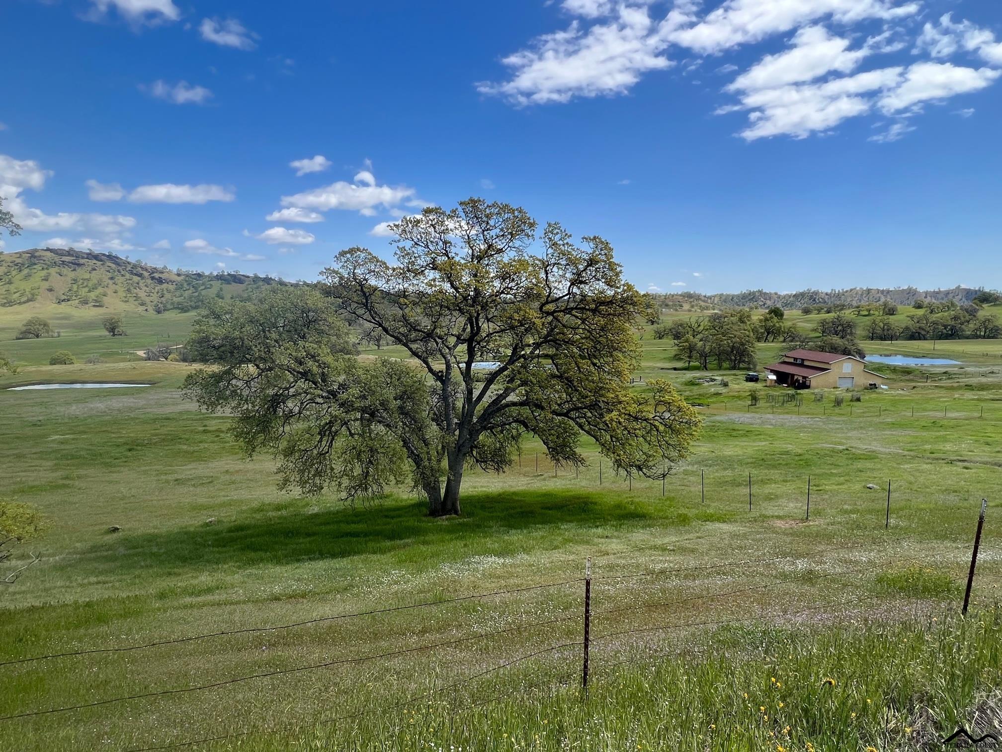 6425 Dream Valley Road Red Bluff, CA 96080 - Photo 6 of 10