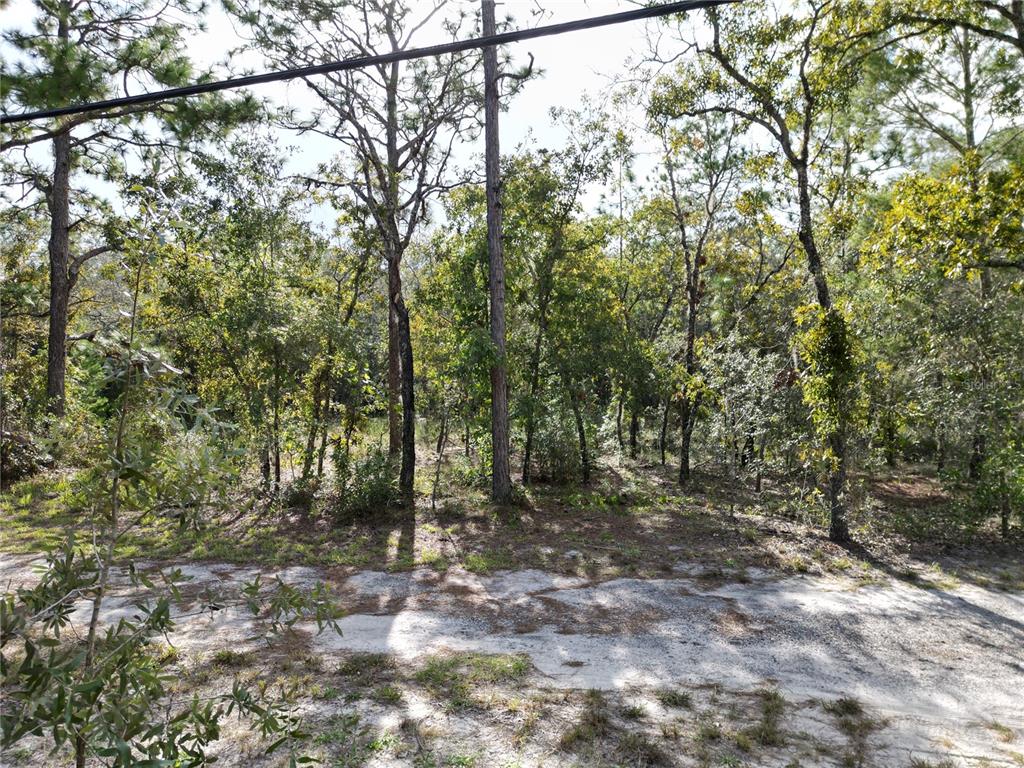 Grove Road Brooksville, FL 34614 - Photo 12 of 21 Gallery Image 12