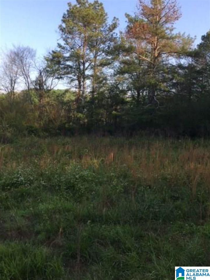 0 Marsh Drive Cleveland, AL 35049 - Photo 8 of 11