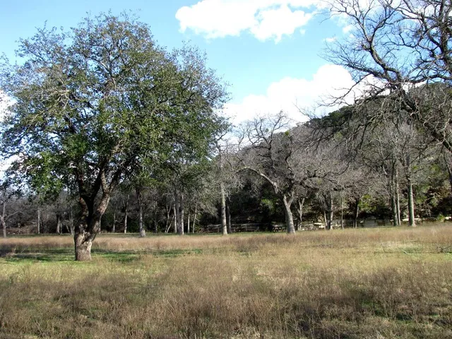 a view of outdoor space