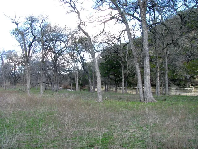 a view of outdoor space with trees all around