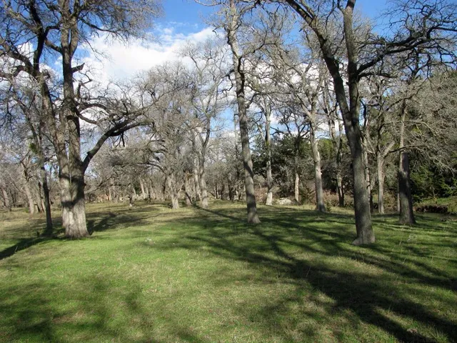 a big yard with trees