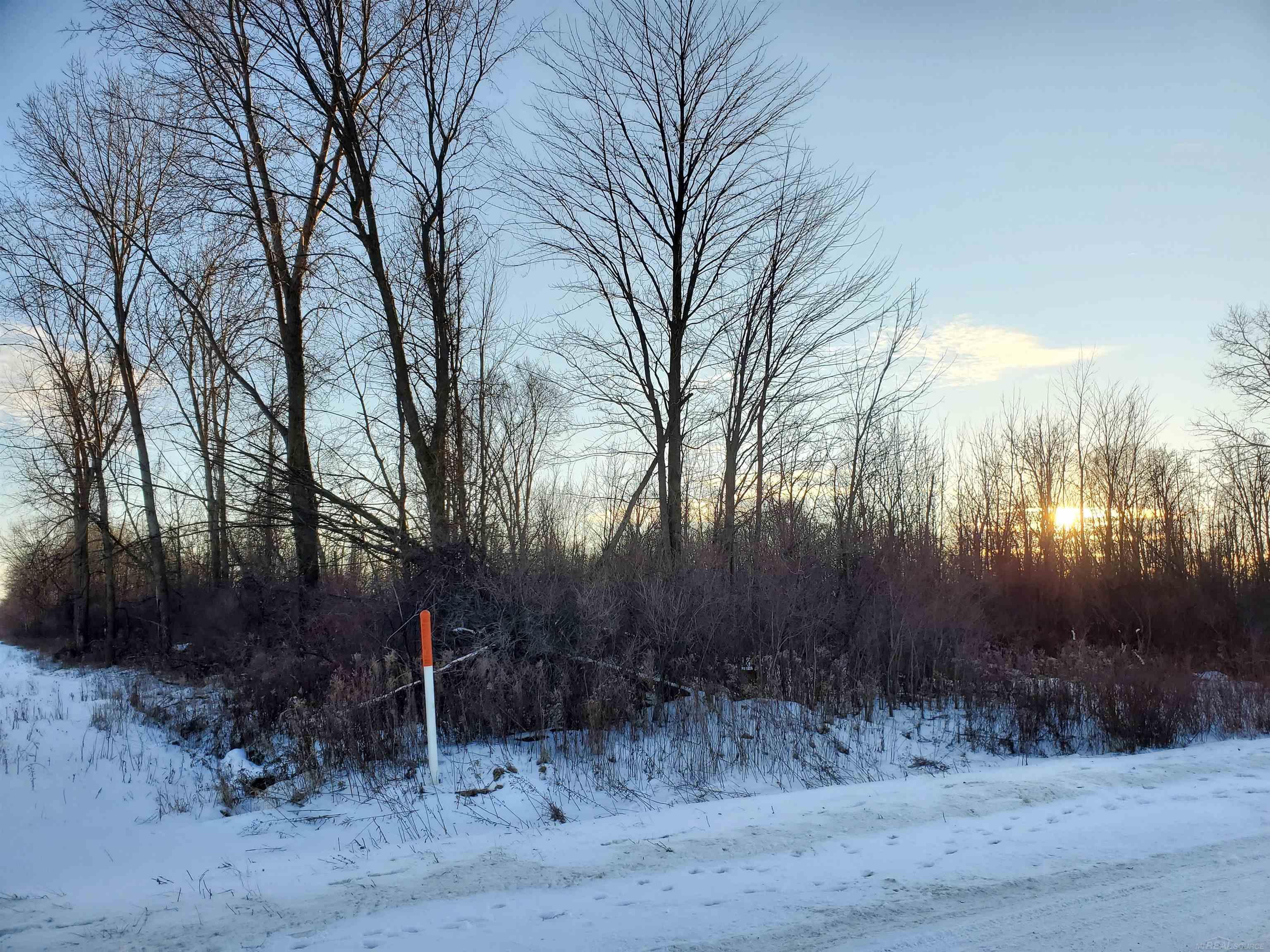 Vl Vl Ubly/stone Road Snover, MI 48472 - Photo 8 of 9