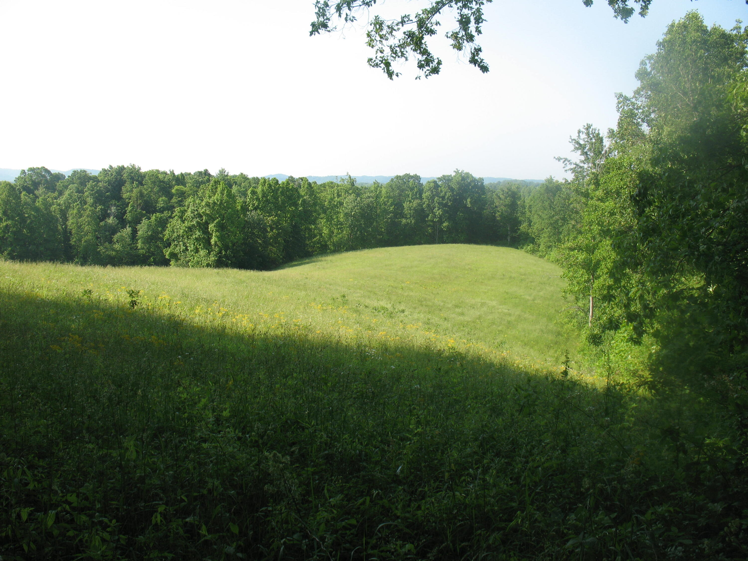 9999 Rudder Lane London, KY 40741 - Photo 13 of 33 IMG_4312