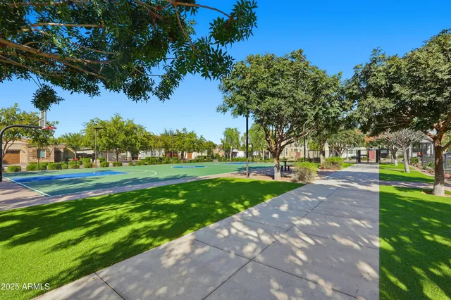a view of a yard with plants and trees