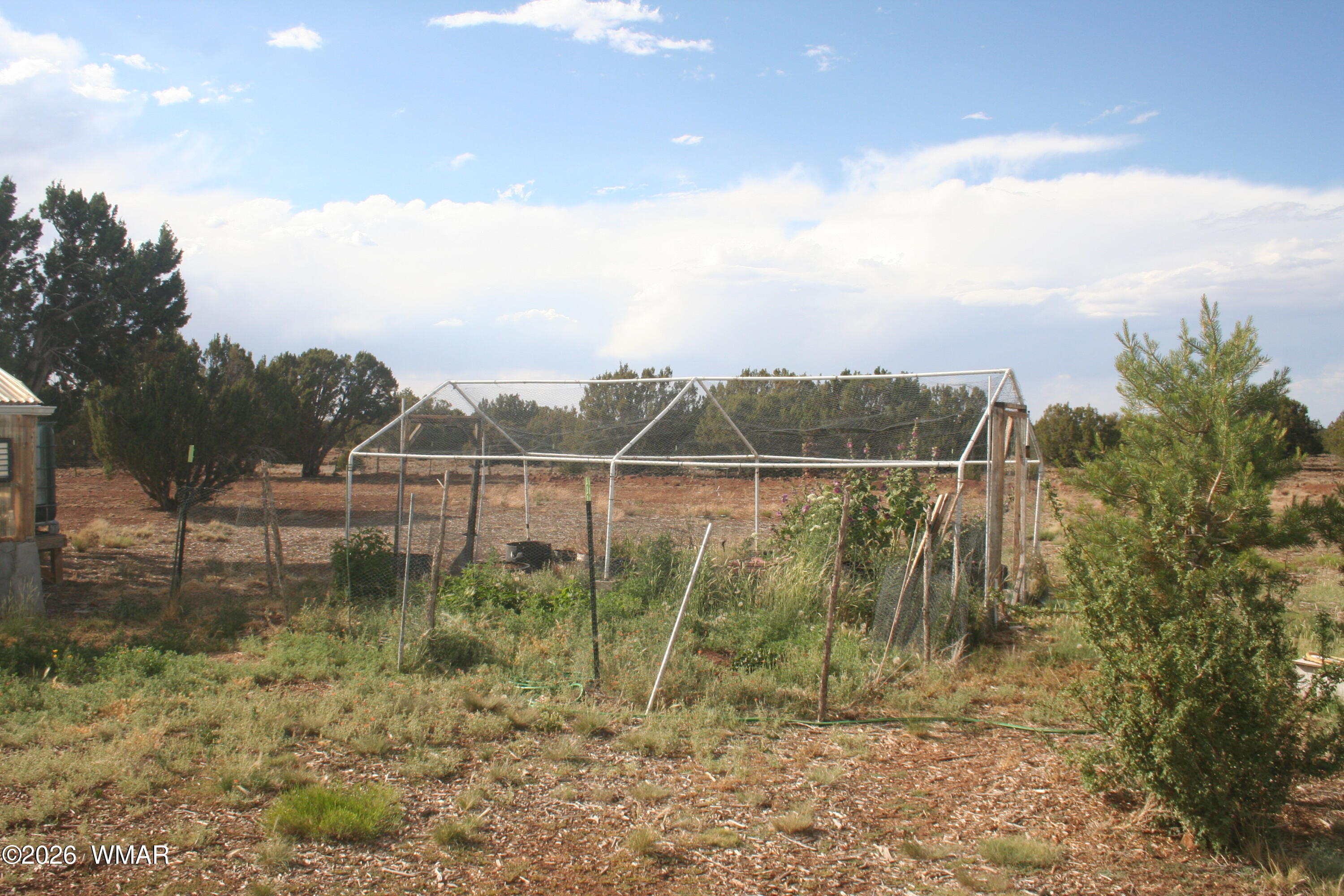 87 County Road Concho, AZ 85924 - Photo 12 of 19