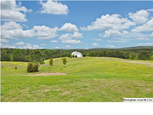 100 Southern Lane Helena, AL 35080 - Photo 29 of 32