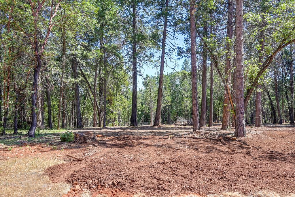 5347 Reservoir Road Georgetown, CA 95634 - Photo 80 of 97