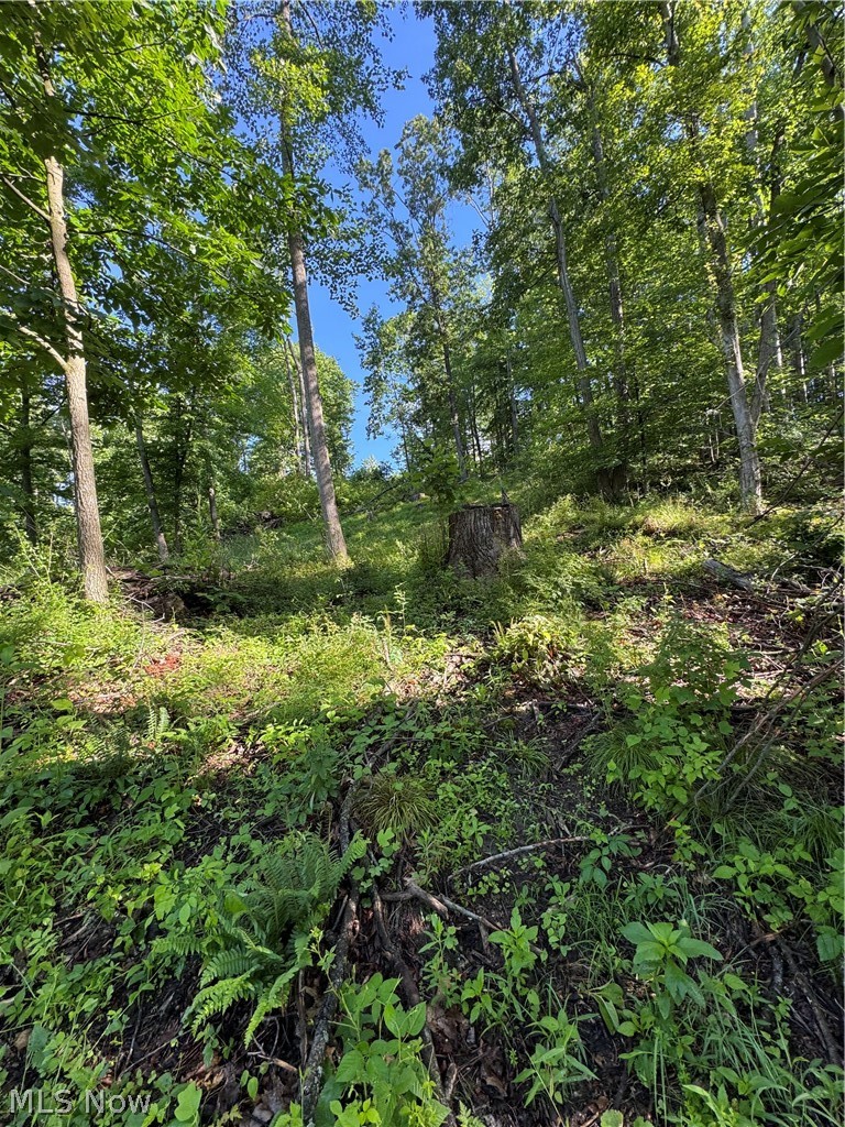 Stone Quarry Road Danville, OH 43014 - Photo 41 of 50