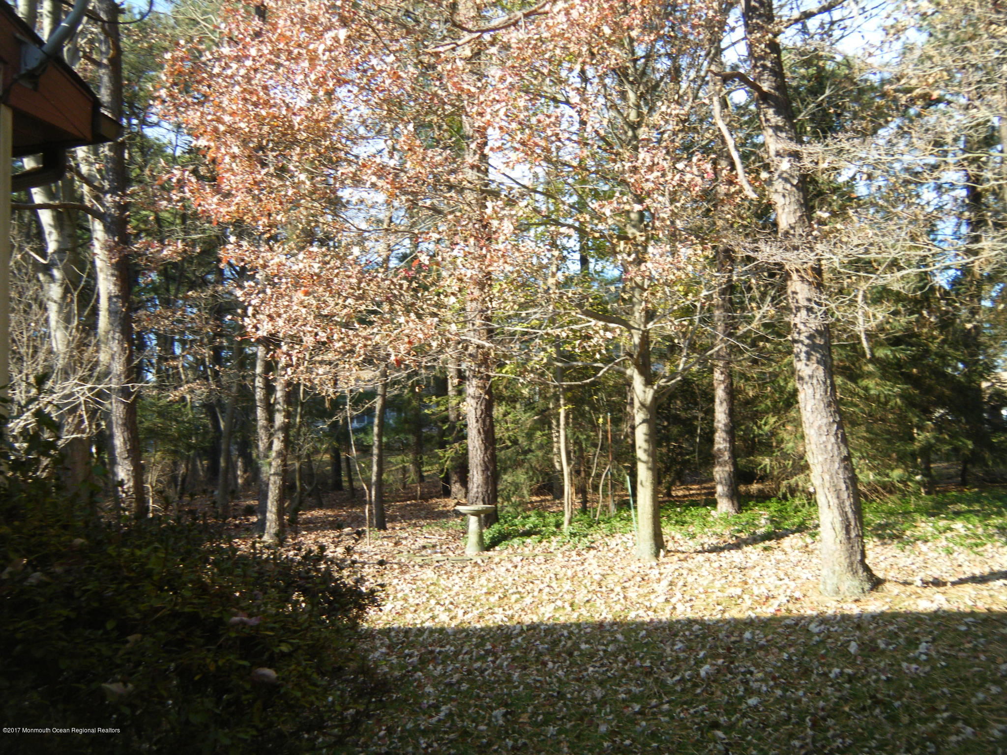 77 B Sunset Road Whiting, NJ 08759 - Photo 3 of 50 DSCF2865